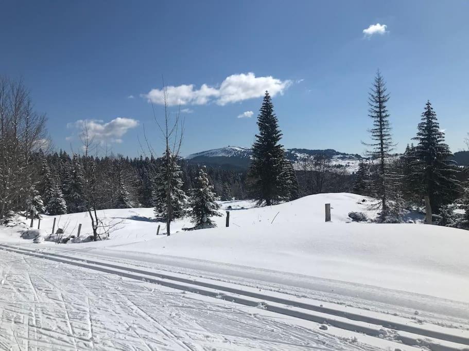 Studio Chaleureux Au Depart Des Sentiers Et Pistes De Ski Lajoux Экстерьер фото
