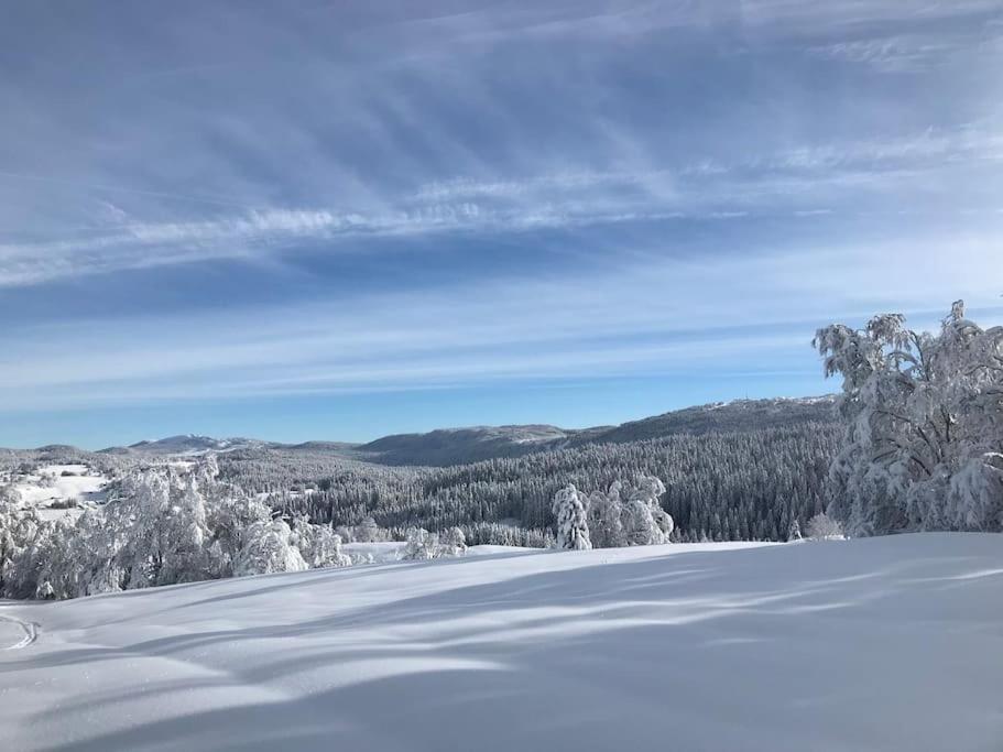 Studio Chaleureux Au Depart Des Sentiers Et Pistes De Ski Lajoux Экстерьер фото