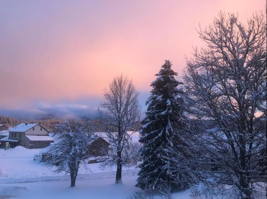 Studio Chaleureux Au Depart Des Sentiers Et Pistes De Ski Lajoux Экстерьер фото